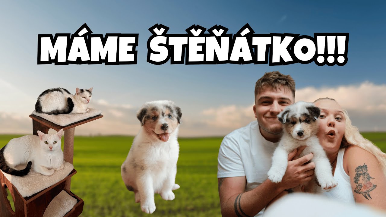 DIXI JE TADY! NAŠ NOVÝ ČLEN RODINY! 🐕🎉