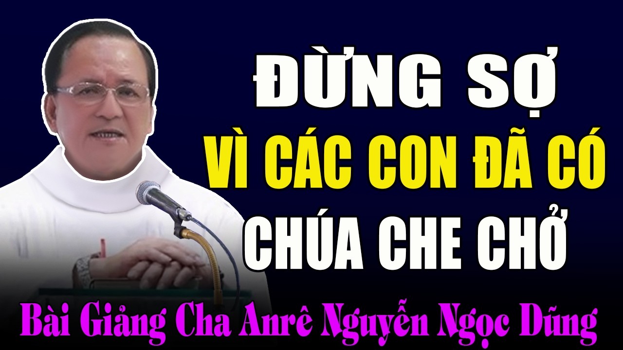 Đừng Sợ Vì Anh Em Đã Có Chúa Che Chở - Bài Giảng Sâu Sắc Của Cha Anrê Nguyễn Ngọc Dũng