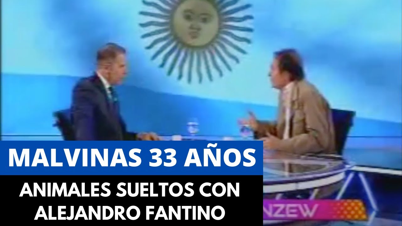 Malvinas 33 años - Animales Sueltos