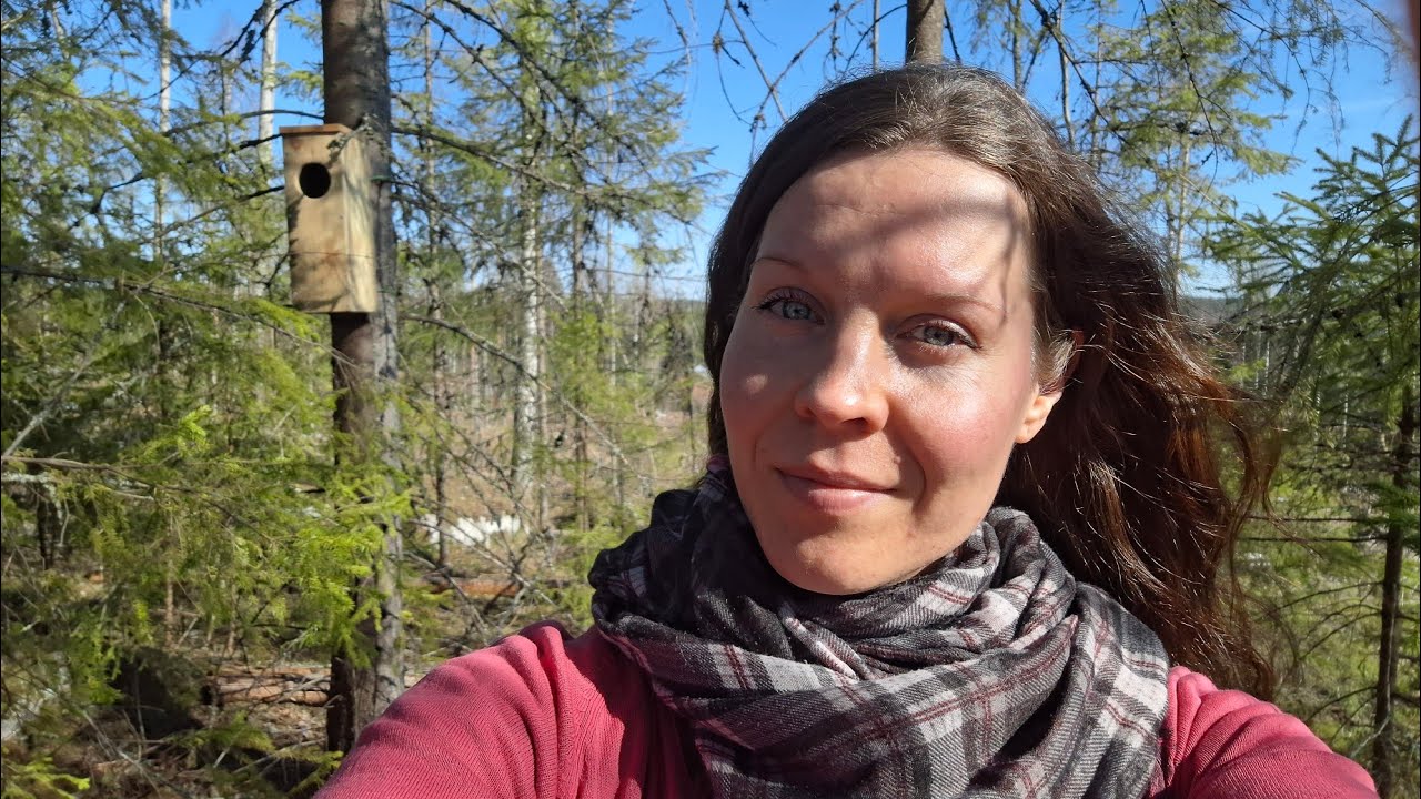 Pöllönpönttö 😍🦉 ja muuta lintuasiaa (kevät 2025)