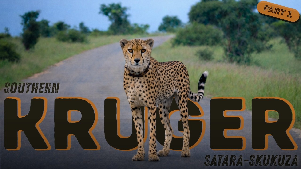 Kruger Left Me Speechless! (You'll see why)