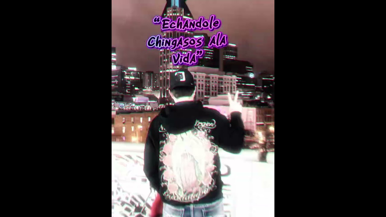 Echandole chingasos ala vida✌🏻corridos tumbados Belicos 2026