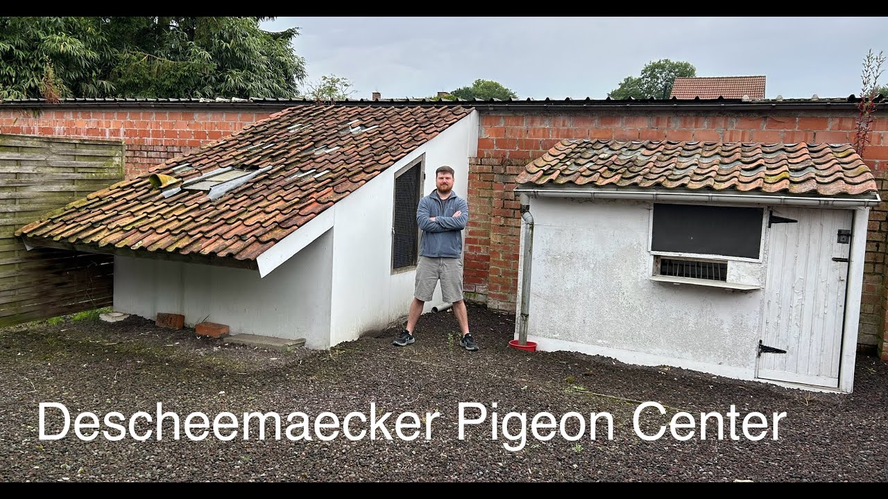 Descheemaecker Pigeon Center - Belgium