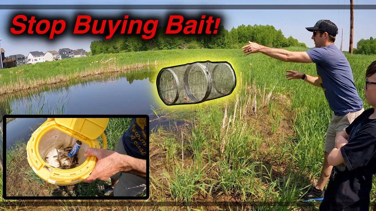 How to TRAP MINNOWS! (Super EASY & CHEAP)