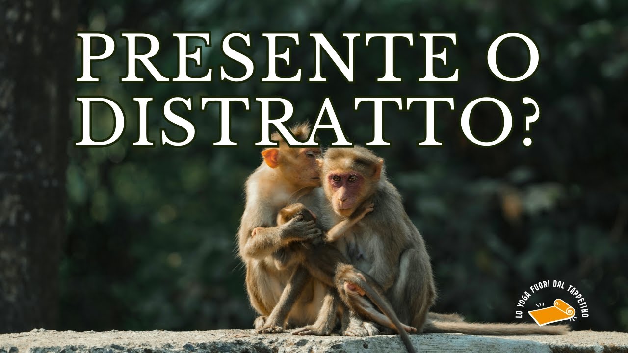 Come essere presenti nelle relazioni con lo Yoga. – Lo Yoga nella vita reale #4