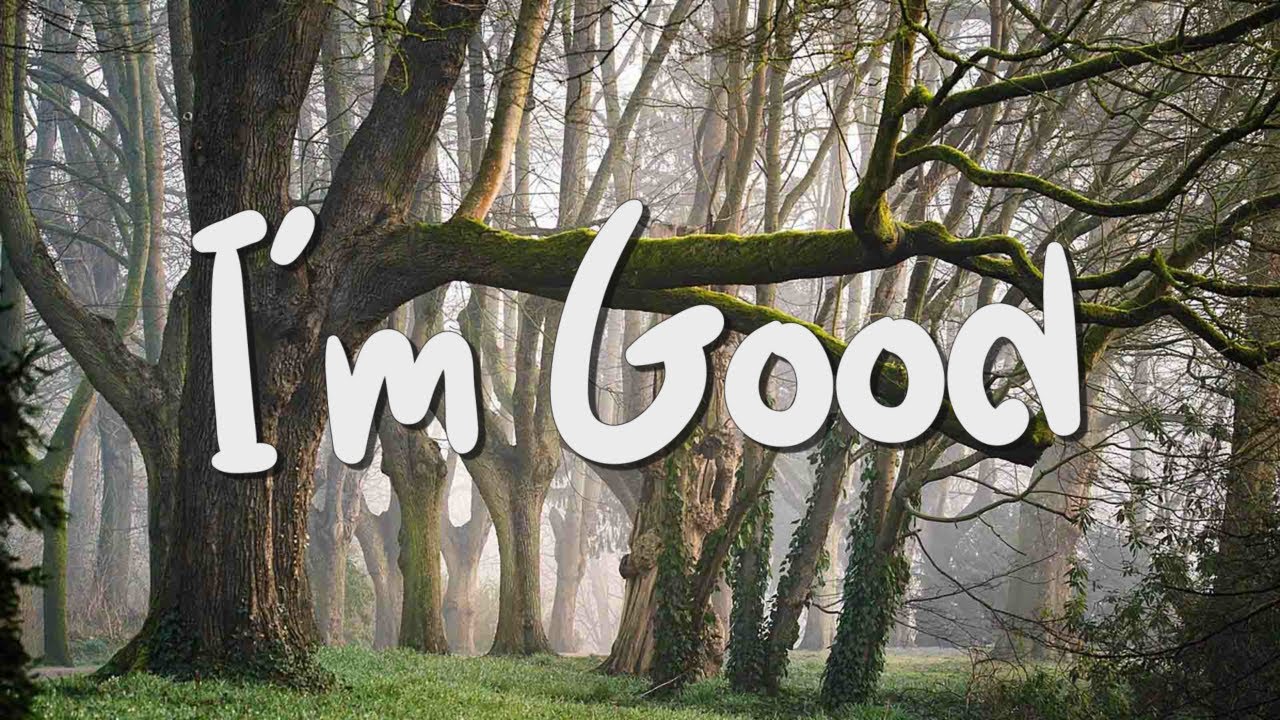 I'm Good - David Guetta, Bebe Rexha (Lyrics) || Dandelious, Senorita (Mix Lyrics)