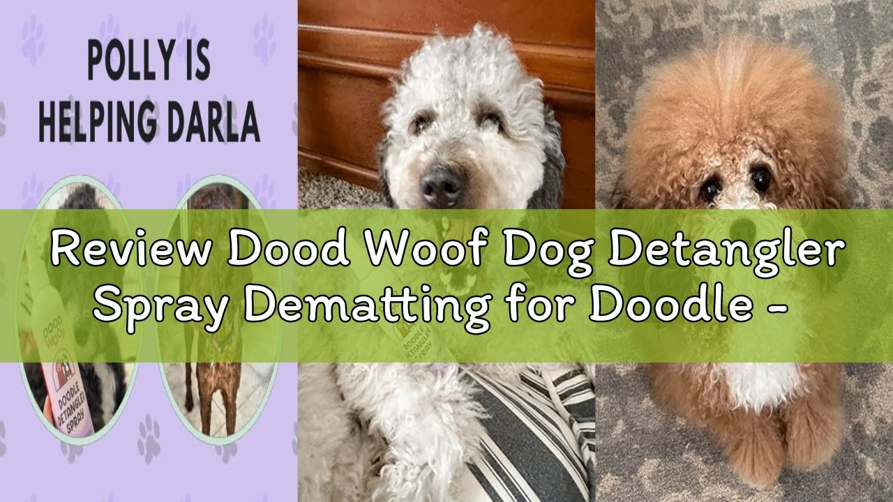 Review Dood Woof Dog Detangler Spray Dematting for Doodle - Natural Dog Leave in Conditioner Spray f