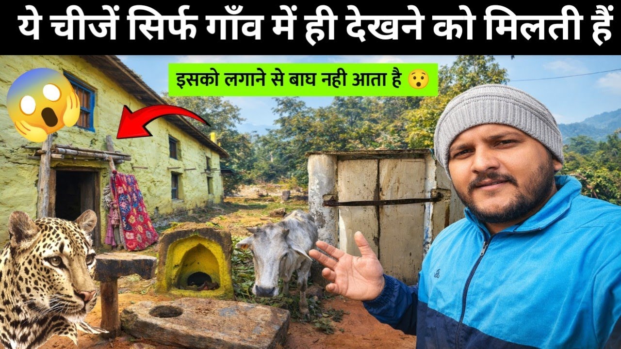 इसको लगाने से बाघ नही आता है 😯 | ये सिर्फ गाँव में ही देखने को मिलता हैं | Dhiraj Chand 