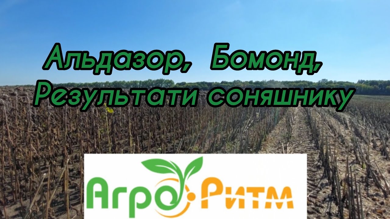 Агро Ритм, перевірили Альдазор та Бомонд на власному досвіді 🚜🇺🇦🇺🇦🇺🇦