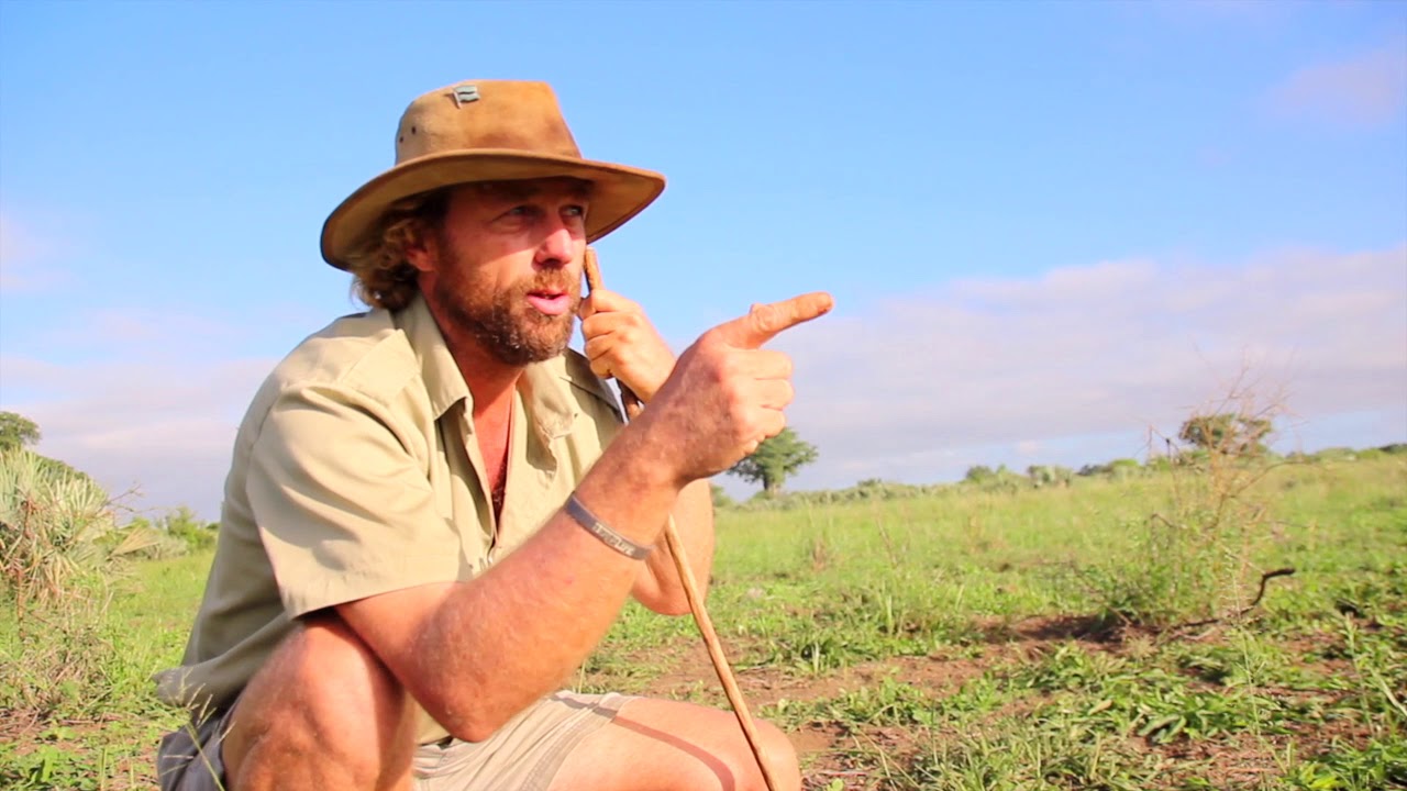 Tracking elephant on foot with Alan McSmith