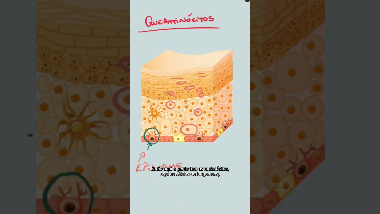 O que &eacute; o queratin&oacute;cito?  #estetica #pele