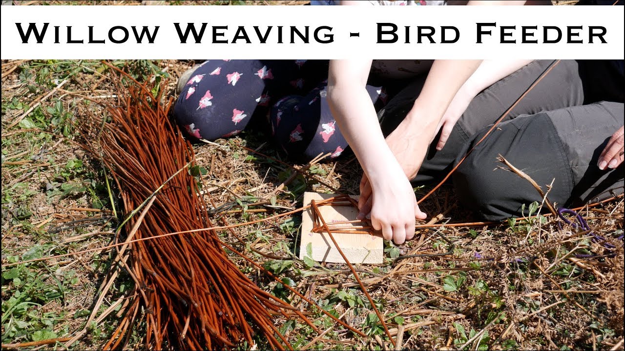 Making willow bird feeders with the kids