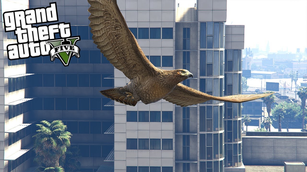 BECOMING A HAWK IN GTA 5 - THE BIRD MOD!!! (GTA 5 REAL LIFE PC MOD)