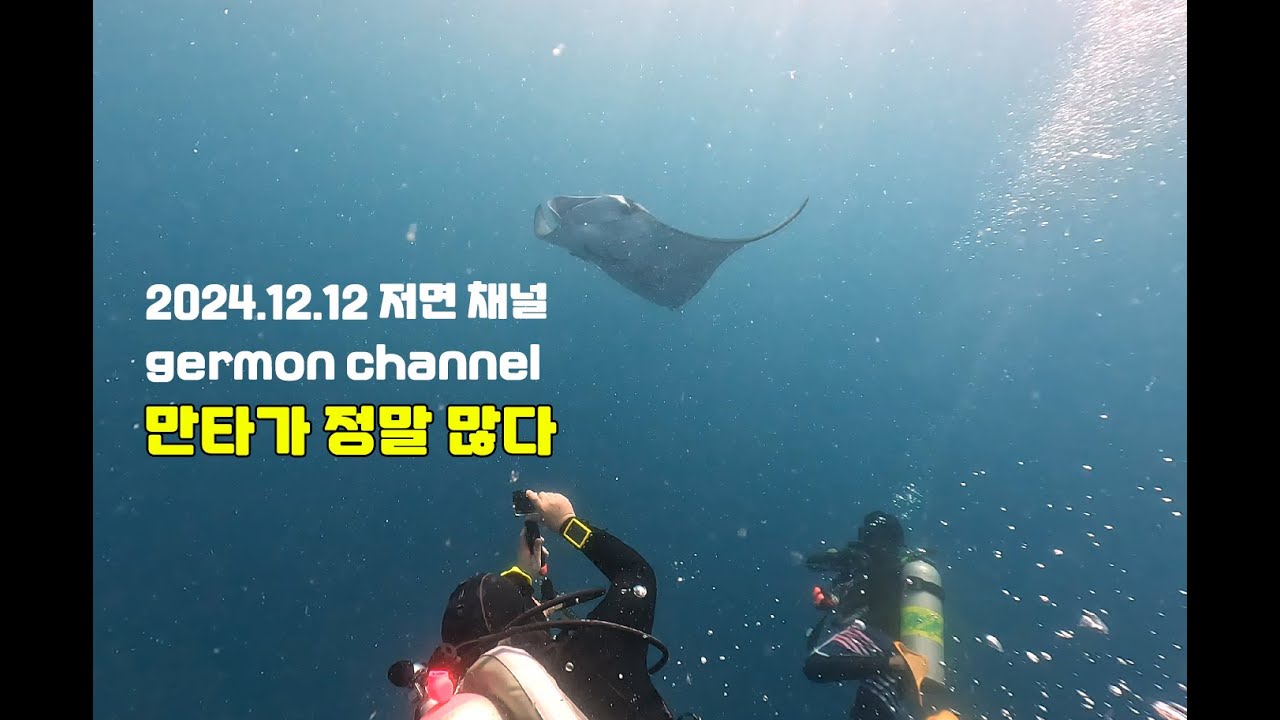 팔라우 스쿠버다이빙 저먼 채널 germon channel