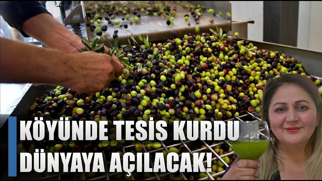 Devlet Desteğiye Köyünde Tesis Kurdu Dünyaya Açılacak! / AGRO TV HABER