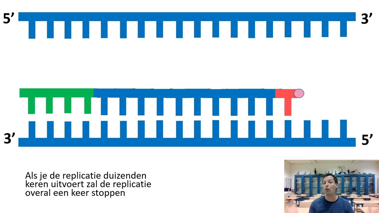 Uitleg DNA en RNA 》PCR en sequencen