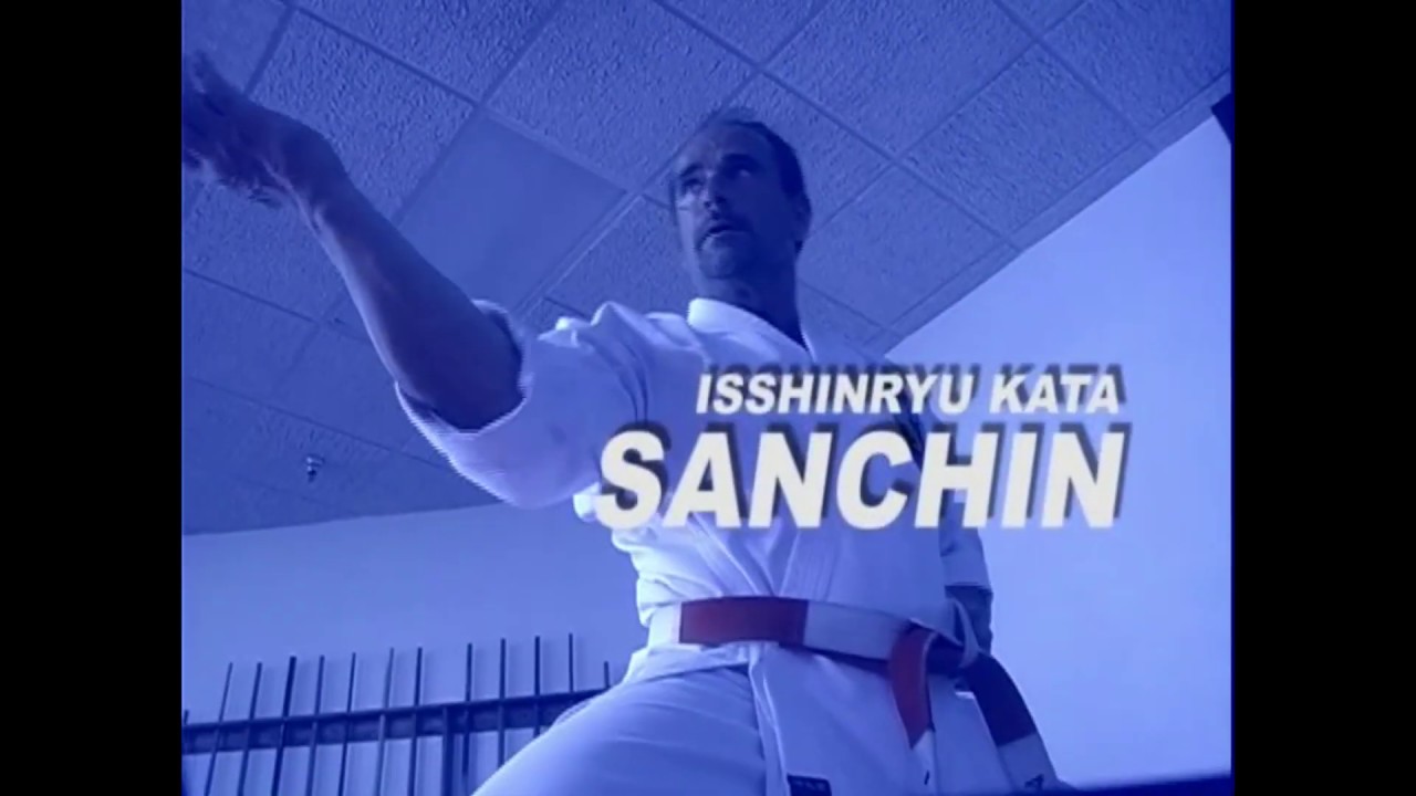 #MRkarate ™ Mike Reeves Isshinryu Kata #6 SANCHIN #isshinryukata #karate #martialarts #shorts