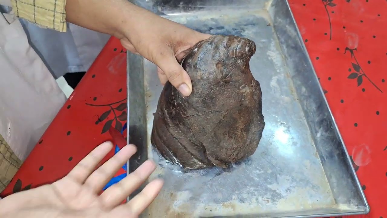 Lung demo in bangla (part 2)
