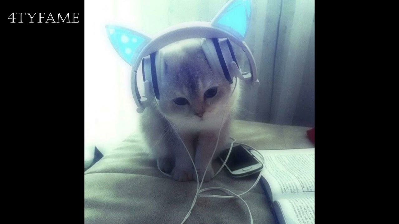 пошлая молли - супермаркет [speed up + dnb remix]