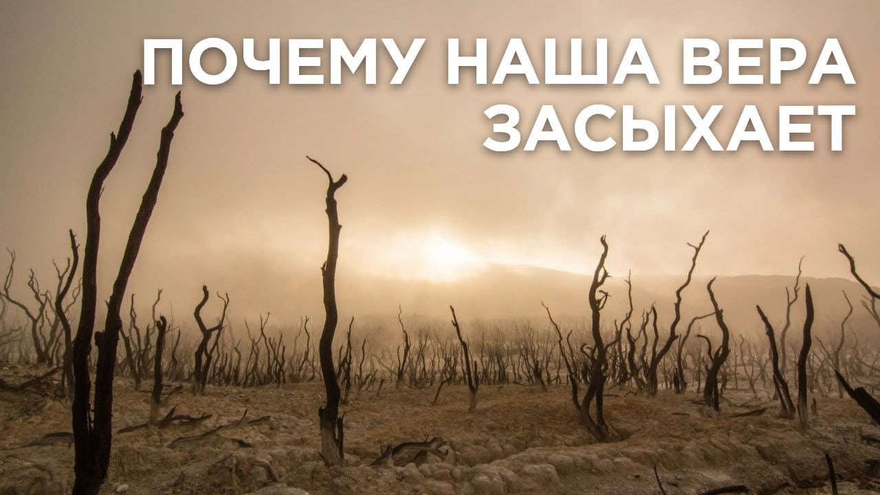 Почему наша вера исчезает, становится слабой. притча о сеятеле, о плевелах #МаксимКаскун