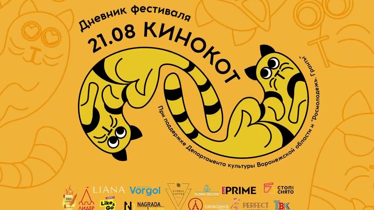 Открытие кинофестиваля КиноКот | 21.08.2023