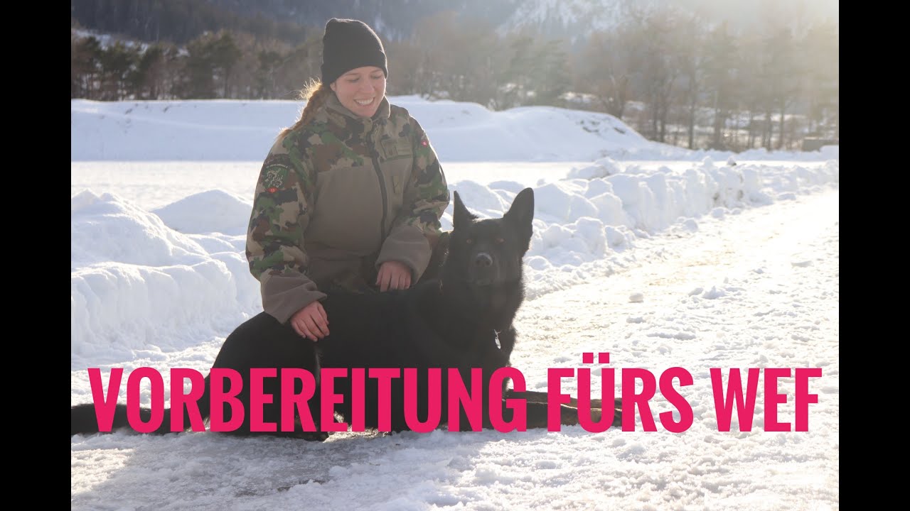 Armee-Diensthundeführerin Jana am WEF