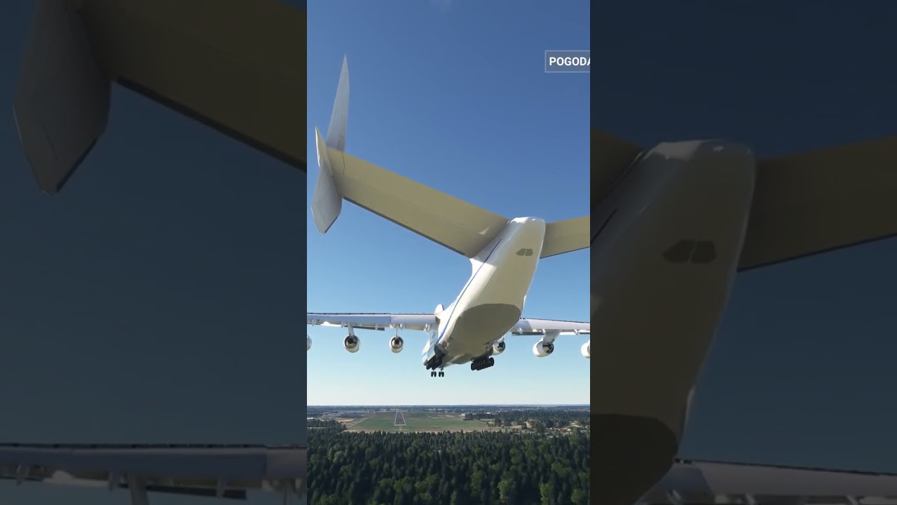 AN225 vs Mielec tym razem wykonanie antonovem darmowym na flightsim.#ragebait #msfs2020 #msfs #plane