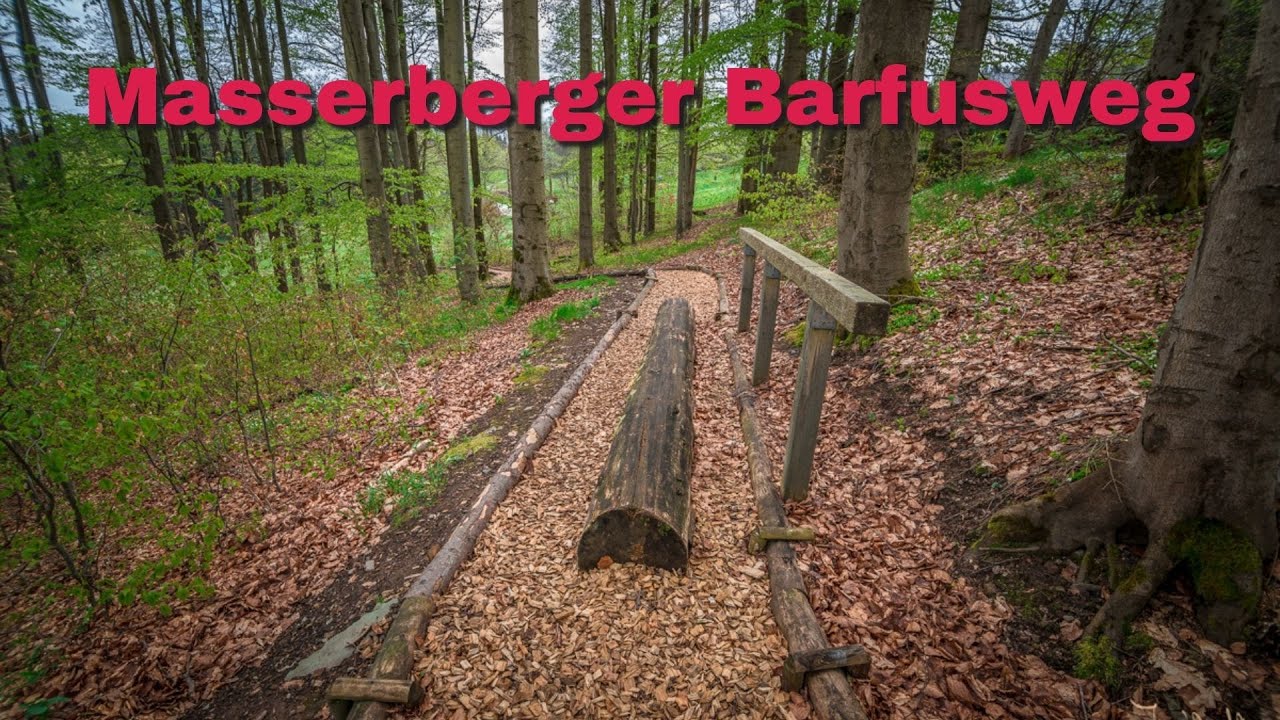 🦶🏼 Der Barfußweg in Masserberg / Thüringen / Thüringer Wald
