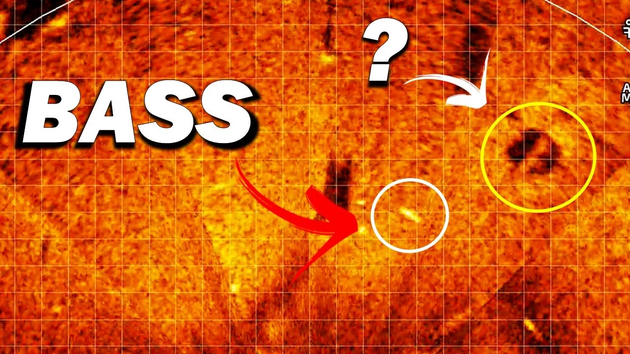 Использование Livescope — режим перспективы — для ловли большего количества рыбы.