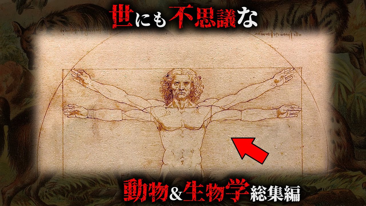 面白すぎて眠れない世にも不思議な動物&生物学がヤバすぎる...。【 総集編 睡眠用 科学 】