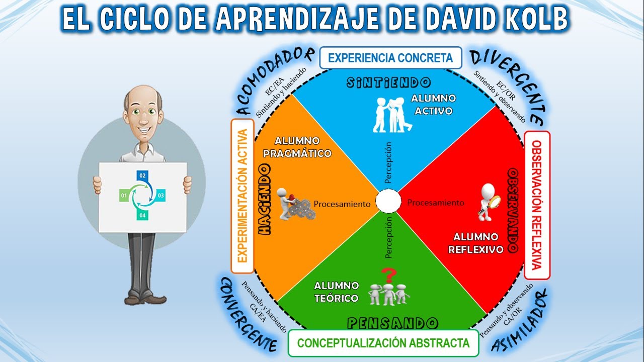 CICLO DE APRENDIZAJE 🌀 DE DAVID KOLB - ERCA - EDUCACIÓN 📚📝 #educación  #viralvideo