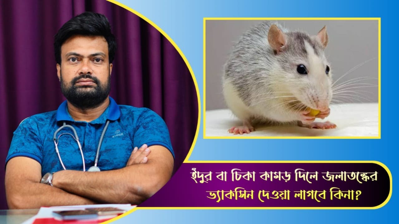 ইঁদুর বা চিকা কামড় দিলে জলাতঙ্কের ভ্যাকসিন দেওয়া লাগবে কিনা | Health Tips | Dr. Md. Joynal Abdin