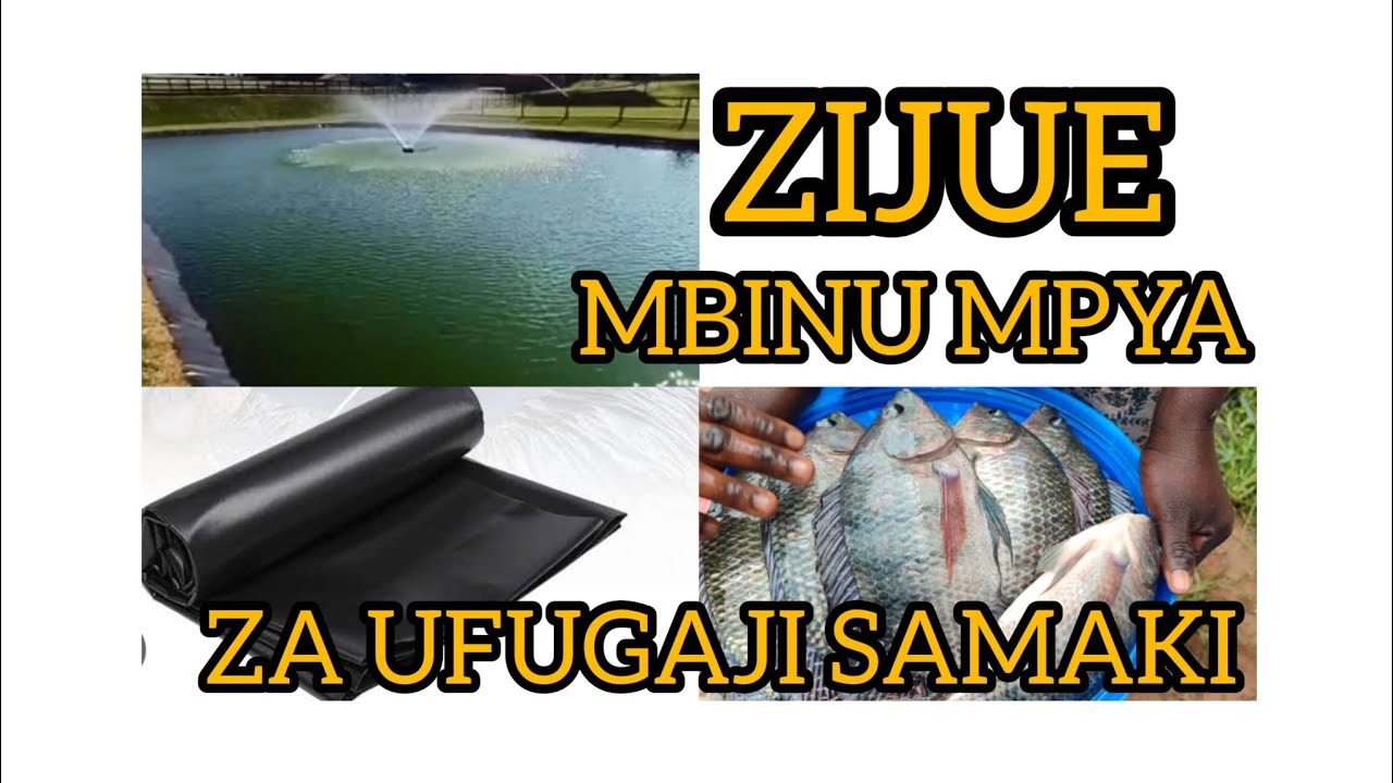 +255755285582 Ufugaji samaki katika mabwawa ya kisasa ya liner,mbegu/vifaranga na chakula cha samaki