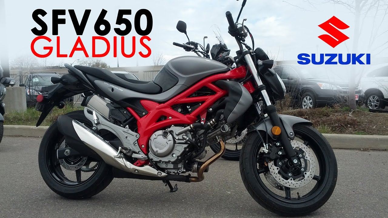 Suzuki Demo Ride - 2015 SFV650 Gladius