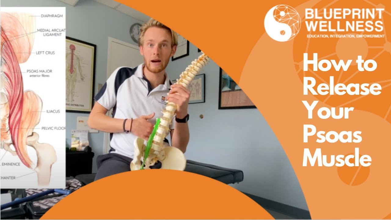 How to release your Psoas Muscle (with the Theracane)