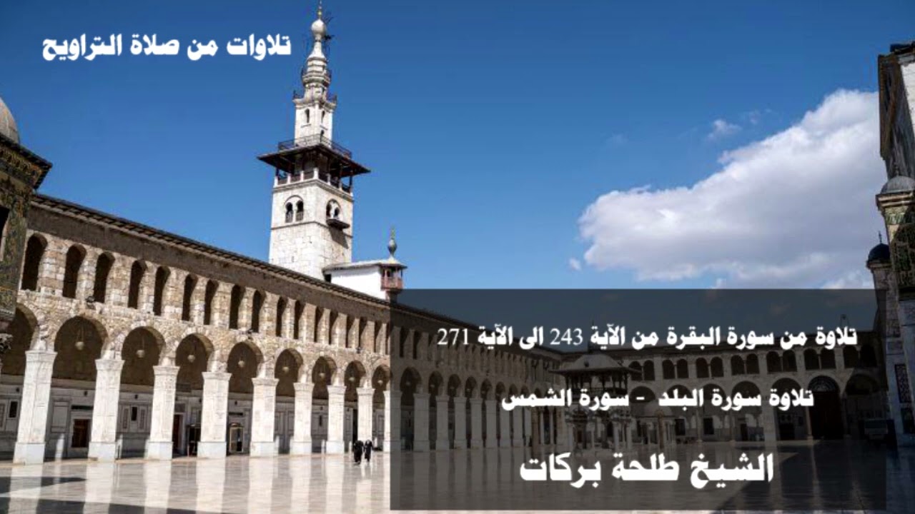 تلاوات من صلاة التراويح (١٣) الشيخ طلحة بركات