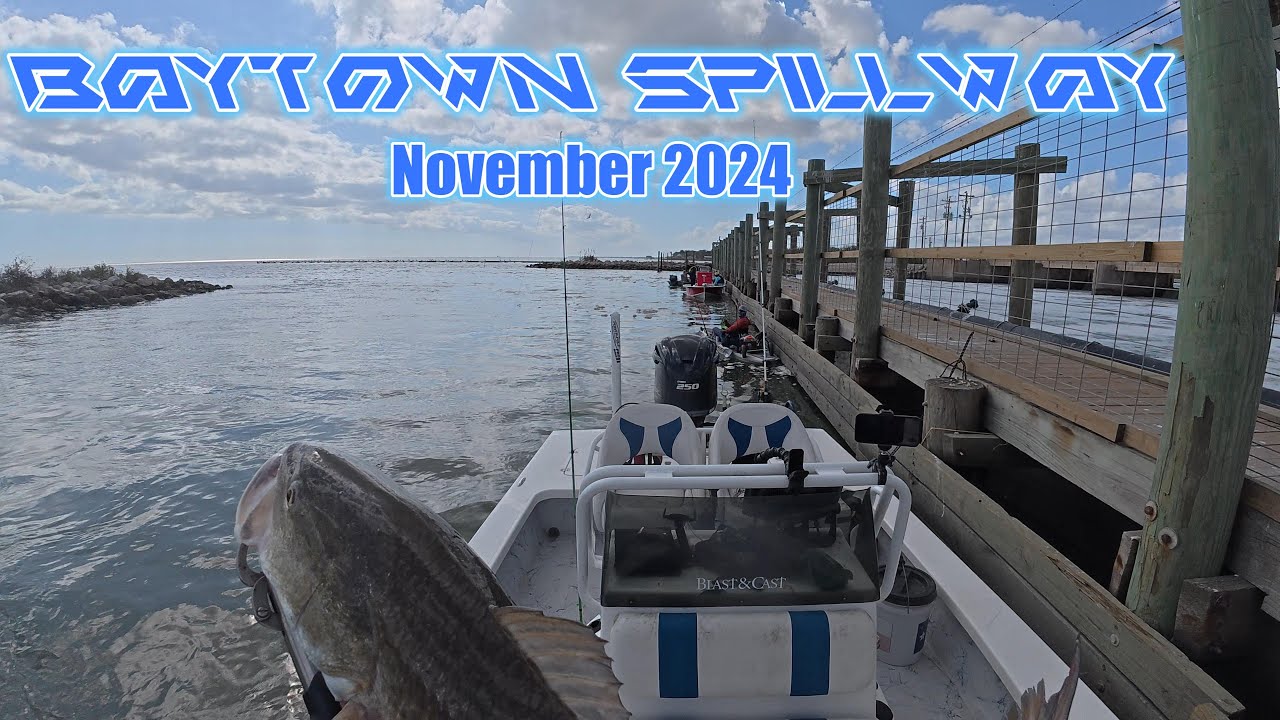 Тринити-Бей | Водосброс в Бэйтауне, ноябрь 2024 г. | Морской окунь и форель