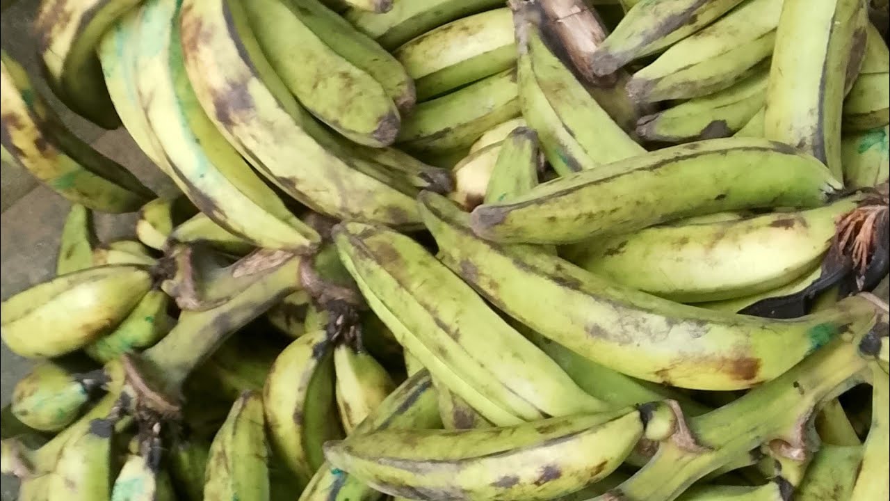 Join me produce my healthy plantain flour 👍