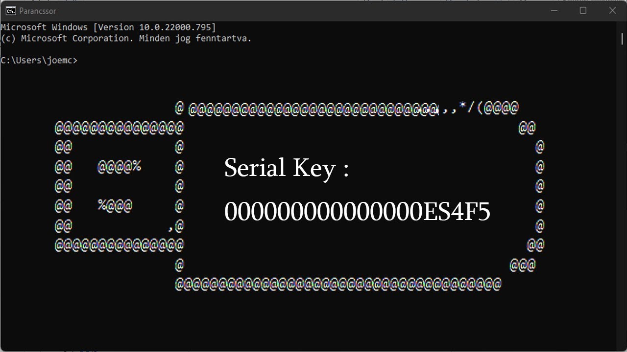 🔥Find Pen Drive Serial Key using CMD in One Second