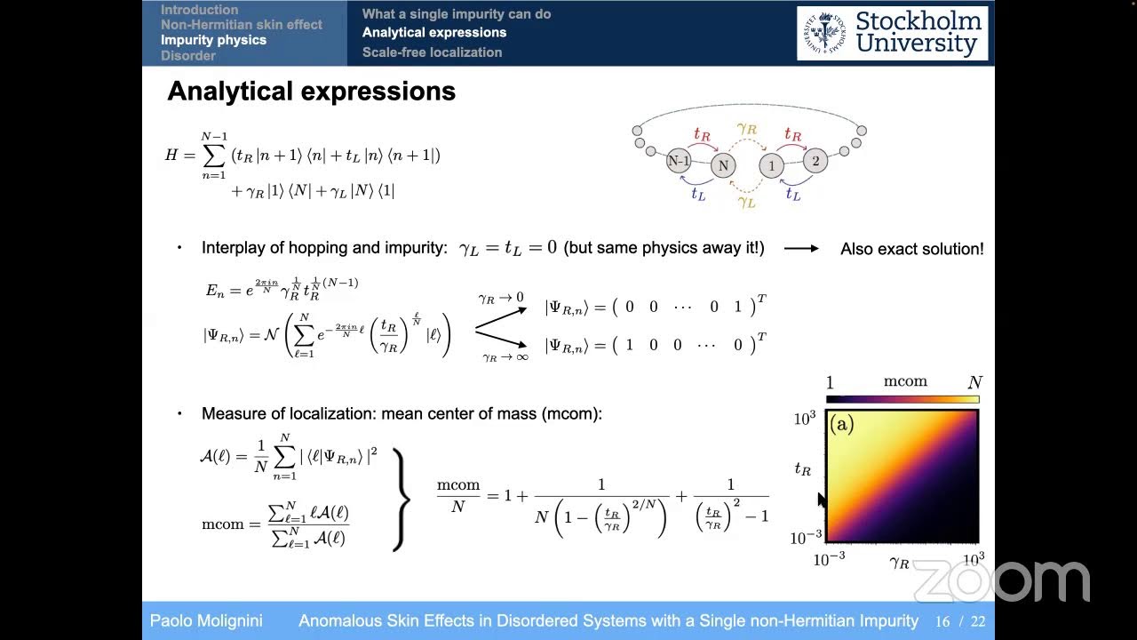 Paolo Molignini: Anomalous Skin Effects in Disordered Systems with a Single non-Hermitian Impurity