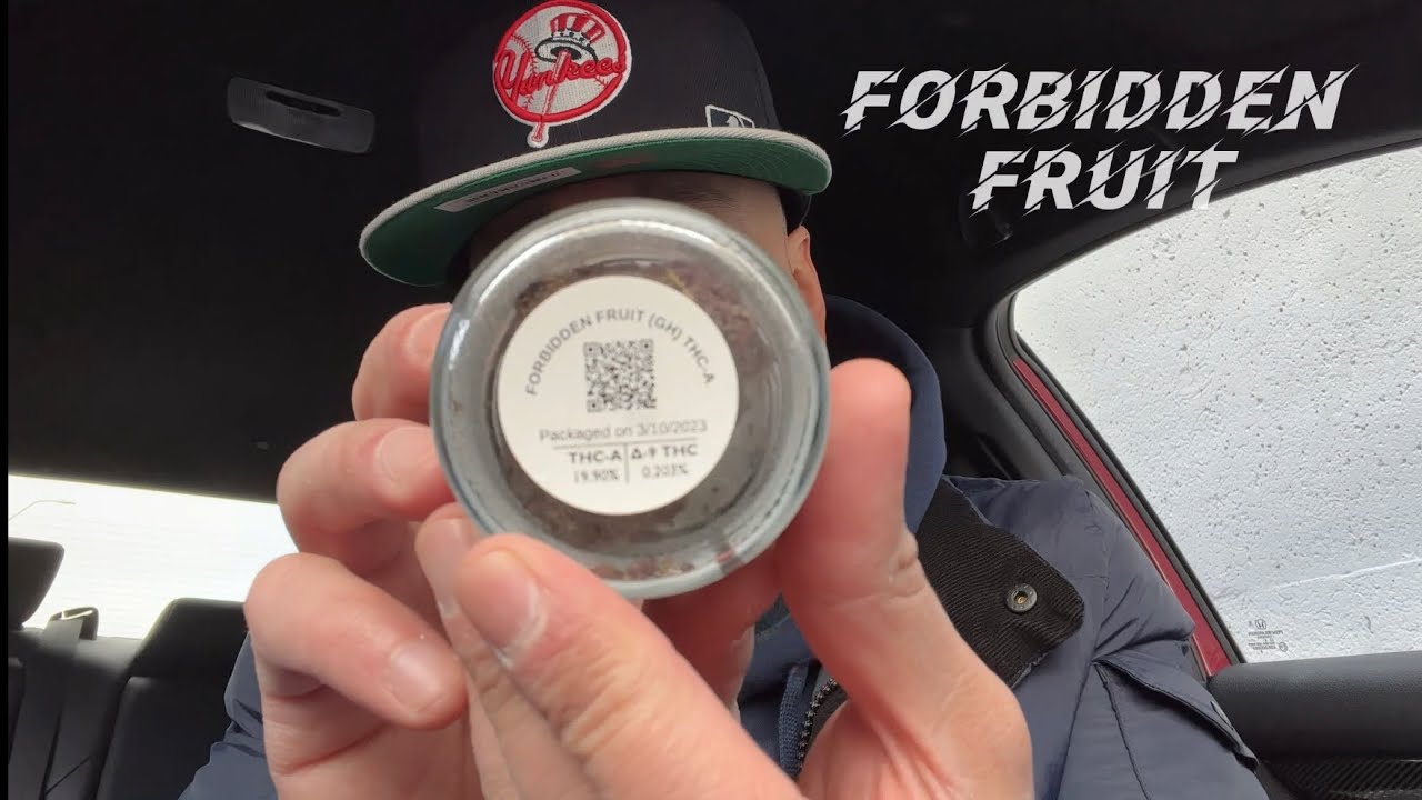 New Black Tie Forbidden Fruit #thca flower review !