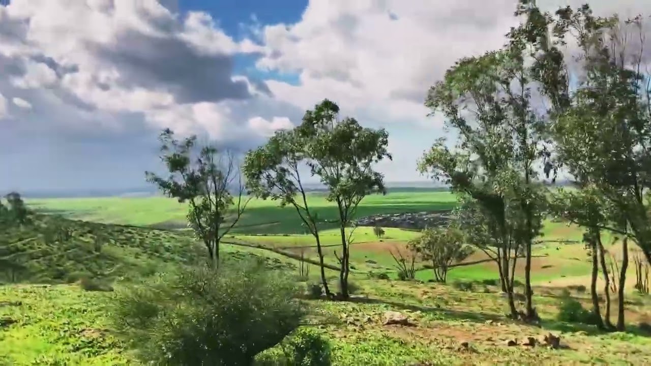 ‏الطبيعه جميله ورحله بين الاشجار 🌳