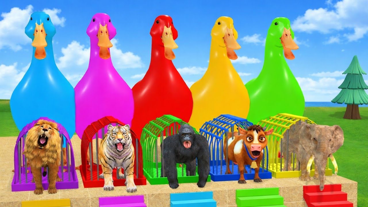 Long Funny Slide Adventure Game with Wild Zoo Animals