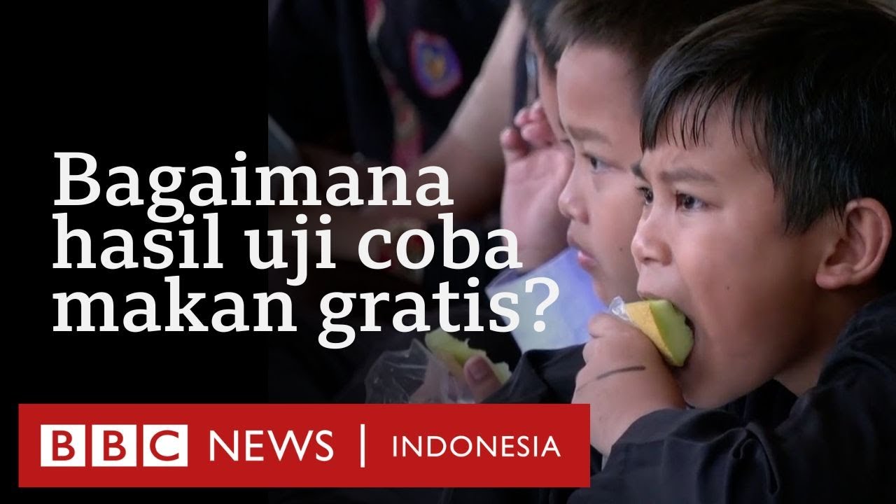 Program makan siang gratis Prabowo-Gibran ditargetkan terlaksana Januari 2025 - BBC News Indonesia