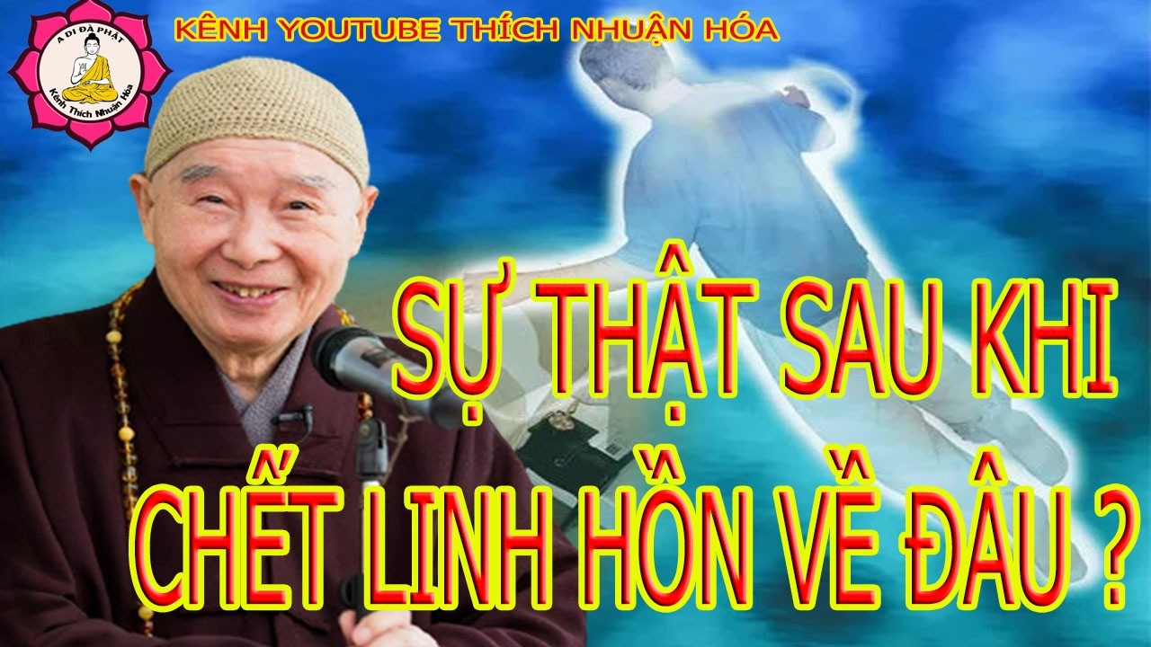Sự Thật Sau Khi Chết Linh Hồn Sẽ Đi Về Đâu ?_Hòa Thượng Tịnh Không Giảng| Kênh Thích Nhuận Hóa
