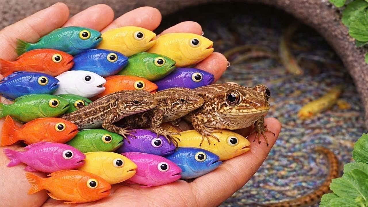 Catching Strange Freshwater Fish in a Small Garden Pond & Giant Colorful Frogs, Pencil Fish, Betta.