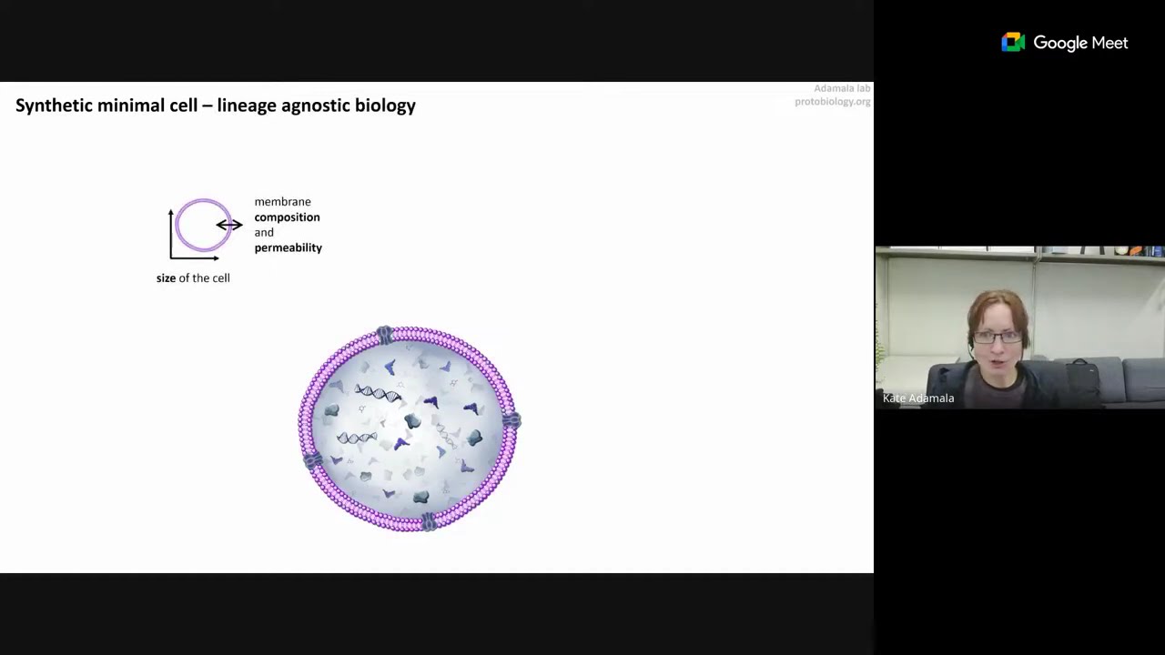 Biocomputing with synthetic cells