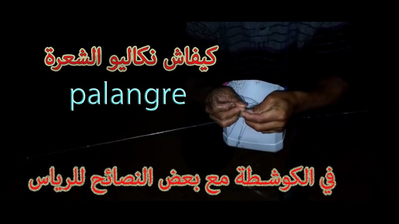كيفية الصيد والتطعيم بالشعرة palangre في الكوشطة