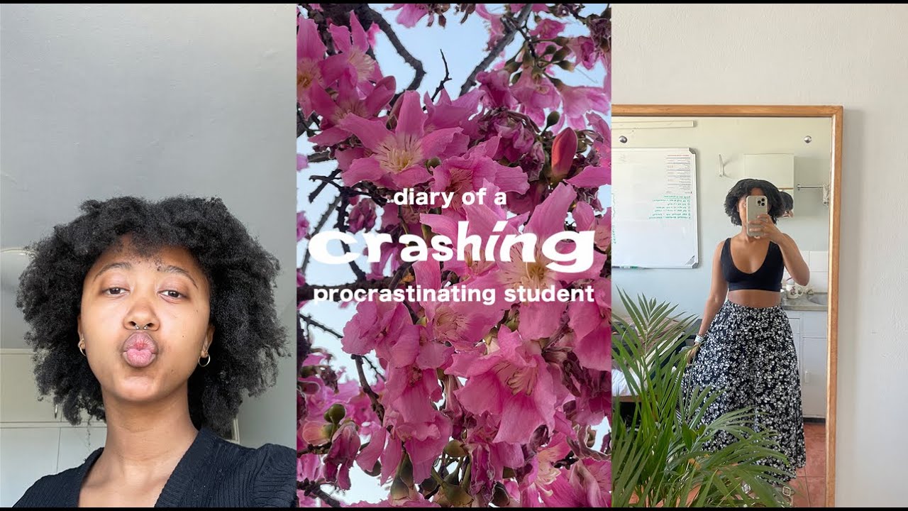 diary of a *crashing* procrastinating student | University of Pretoria
