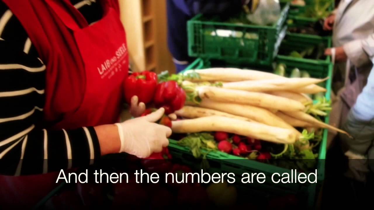 Volunteering at the Berliner Tafel e.V. - with english subtitles